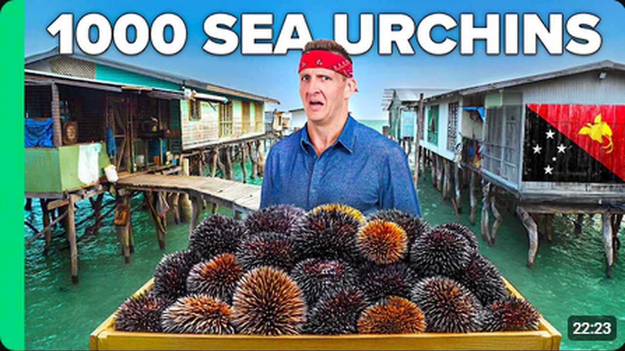 Cooking 1000 Sea Urchins!! Papua’s Ocean Tribe!!