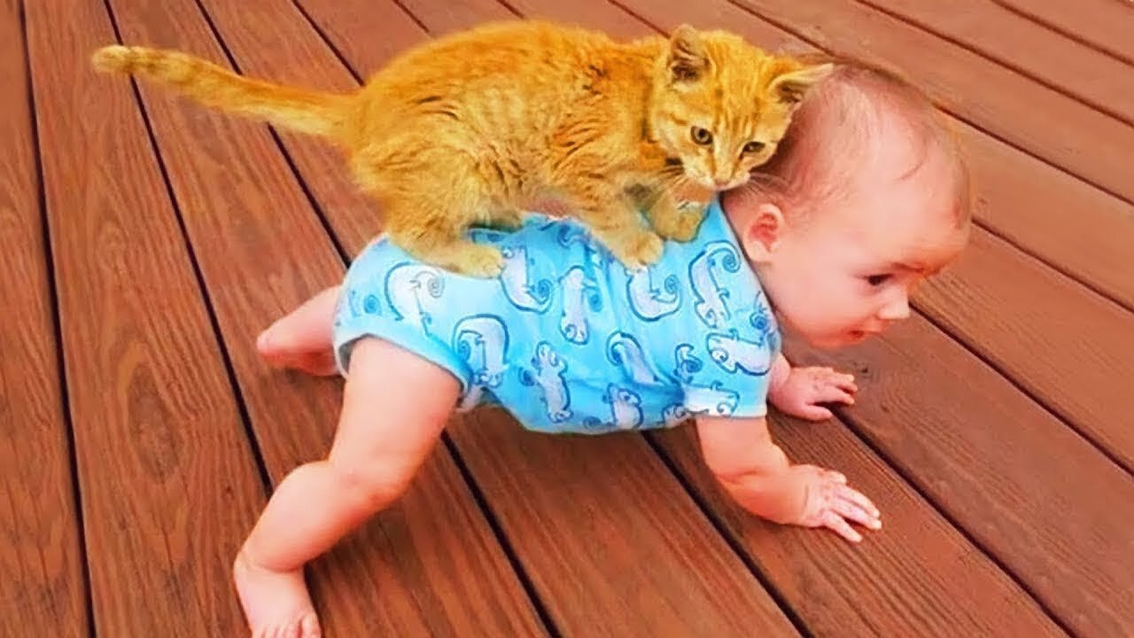 Baby And Cat Fun And Cute - Funny Baby Videos