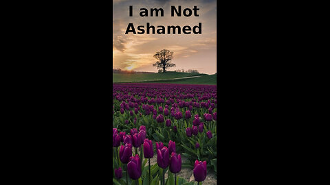 Cameron 🍀🪸 247 ~ I Am Not Ashamed