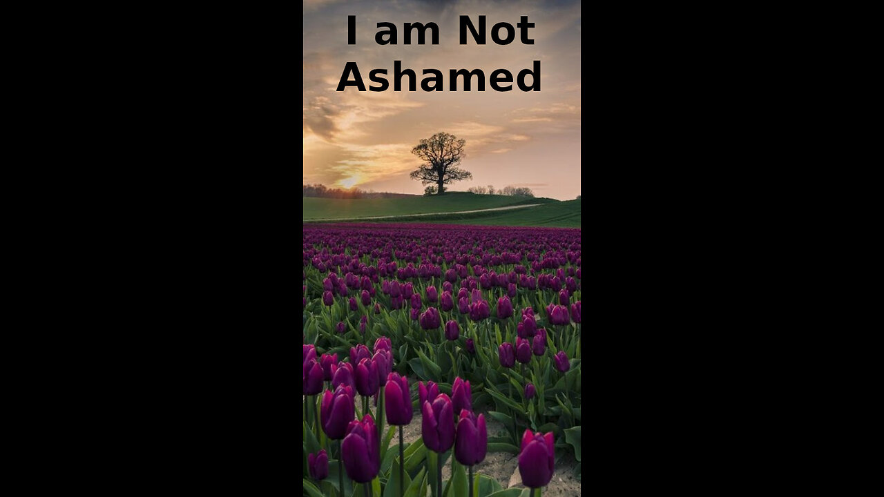 Cameron 🍀🪸 247 ~ I Am Not Ashamed