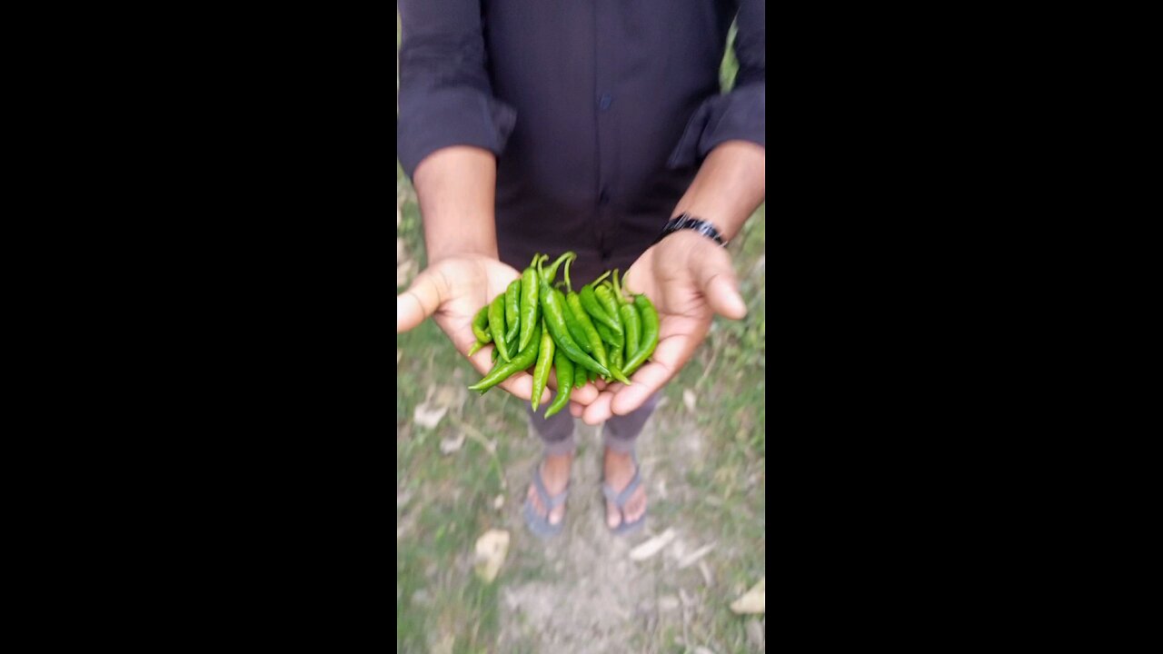 Eating 30 chili just in one minute#food