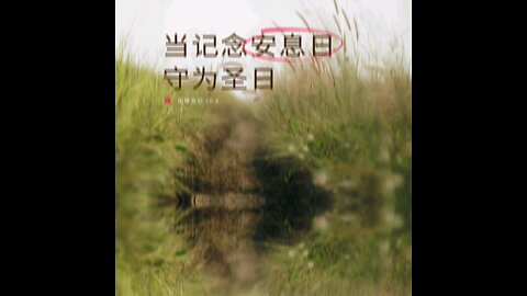 分享今日经文。 愿主与我们同在。阿门