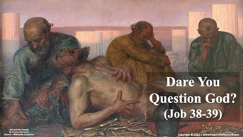 Dare You Question God? (Job 38-39) A daily Bible study from www.HeartofAShepherd.com.