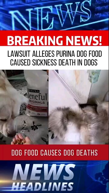 Lawsuit Against Nestle Purina Beneful Dog Food Causing Sickness & Death