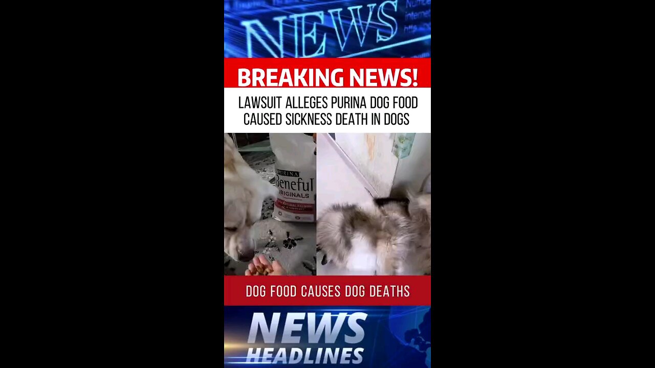 Lawsuit Against Nestle Purina Beneful Dog Food Causing Sickness & Death
