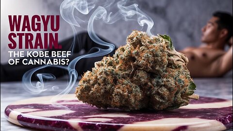 🔥 Discover the Wagyu strain: the Kobe beef of cannabis! 🌿😈