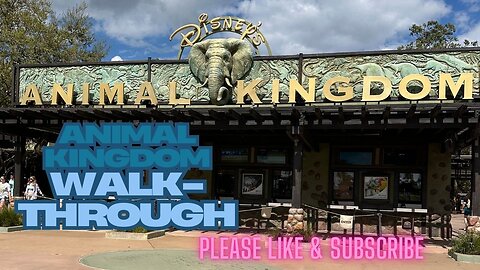 Disney’s Animal Kingdom Walk-through | Relaxing Park Ambiance