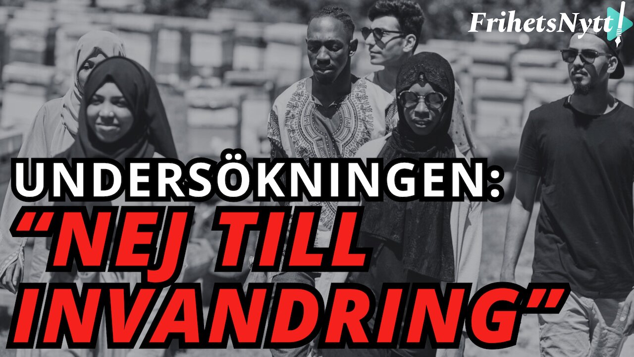 CHOCKSIFFROR: Svenskarnas radikala syn på massinvandring