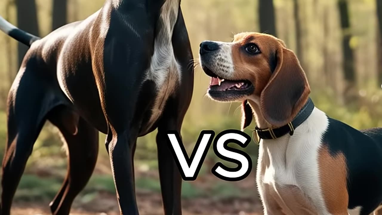 Rottweiler Puppy vs Pitbull puppy ( German Shepherd, Husky, Doberman, labrador retriever, Pointer).