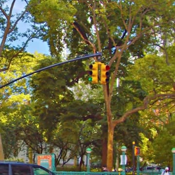 USA vs Finland: Surprising Differences You Didn’t Know#usa vs finland 1980#usa vs. Finland |