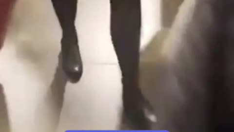 A Muslim woman in France says toilet paper is Islamophobic and will file a complaint.