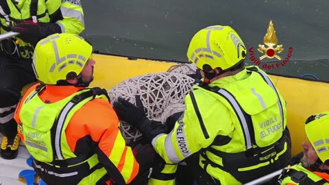 Lupo bloccato nel Naviglio Grande, intervento dei Vigili del fuoco – Video