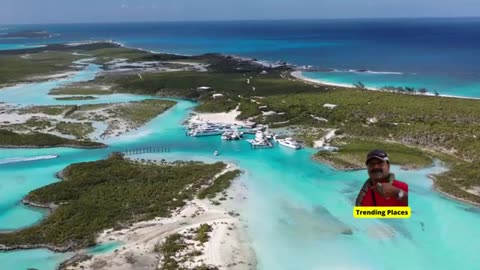 👄Have you ever heard of Pig Beach, it is in Great Exuma, Bahamas