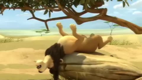 Funny lion video, 😂😂😂😂😂😂😂😂😂😂😂😂😂😂😂😂😂😂#lion #funny #Facebook