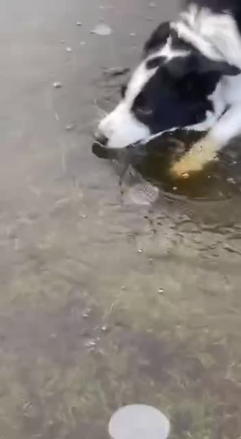 Self powered ice breaker 😊