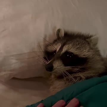 Good night everyone 😊