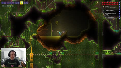 Chill Terraria Fishing and Building