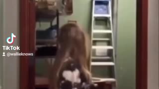 Ghost in closet