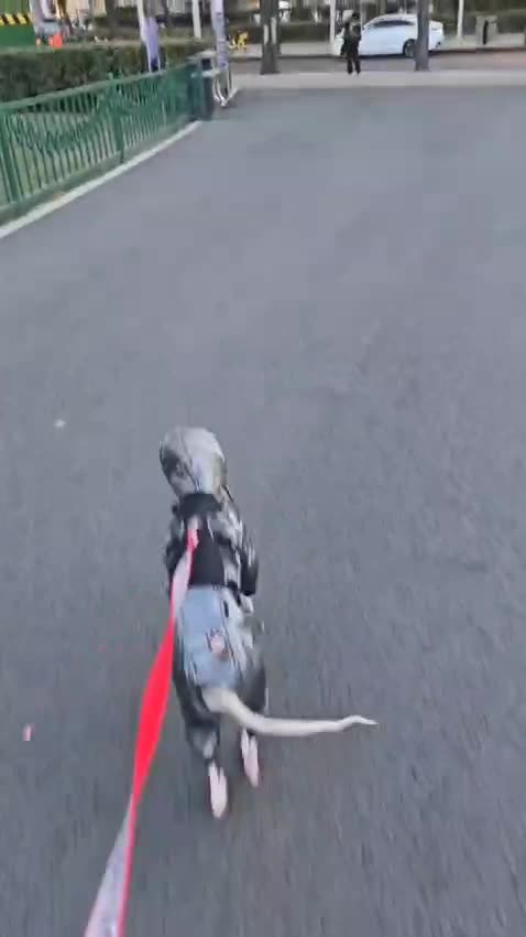 "Only True Dog Lovers Will Relate to This"