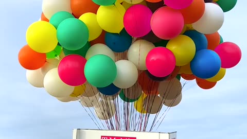 How Many Balloons To Make A Store Fly_