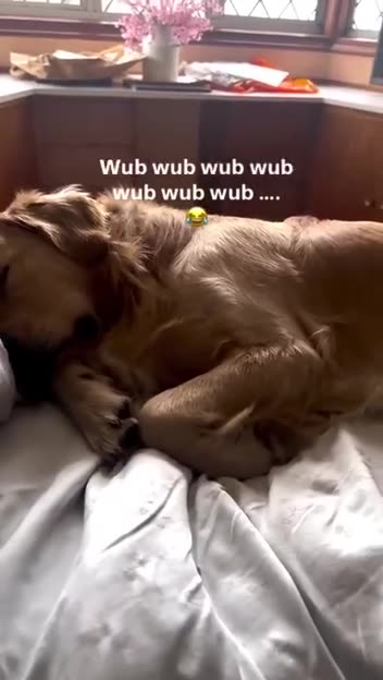 One more sleep before DJT takes over 🤣🙏