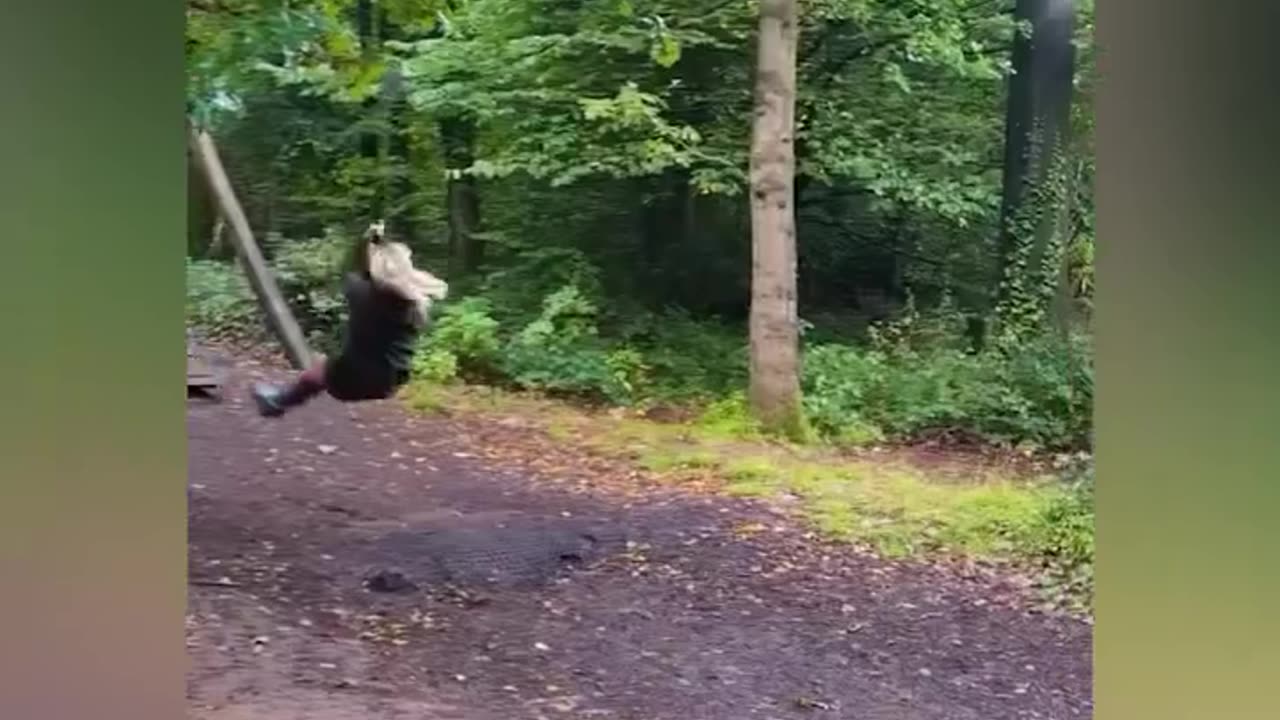Funny video