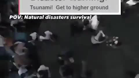 I Put Maniacs of Noise Over a Tsunami Disaster