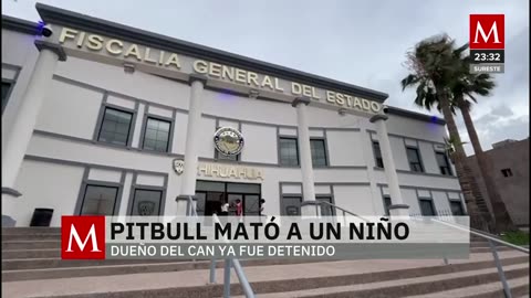 Trágico ataque de pitbull en Chihuahua deja un menor muerto; dueño detenido