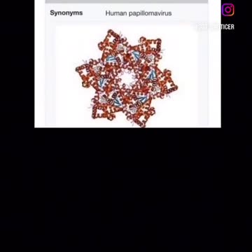 💯⚡️⚡️IT’S A GLOBAL VIRUS