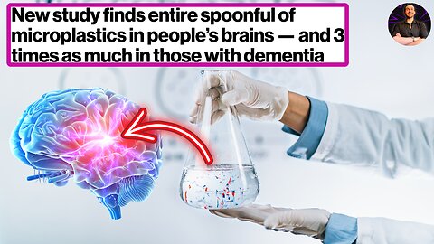 Microplastic Contamination is Spreading! You Won't Believe How Much They Found in His BRAIN!