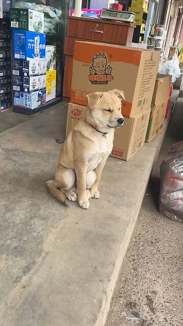 I wanna Sleep after long Guard Duty