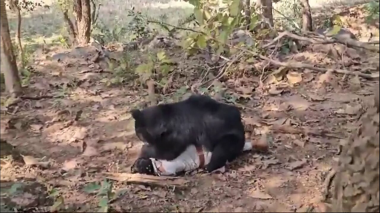 BEAR ATTACKS MAN TO DEATH