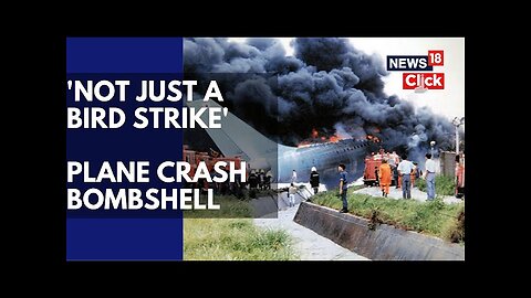 Experts Question Bird Strike As Cause Of South Korea Plane Crash | English News | News18 | N18G