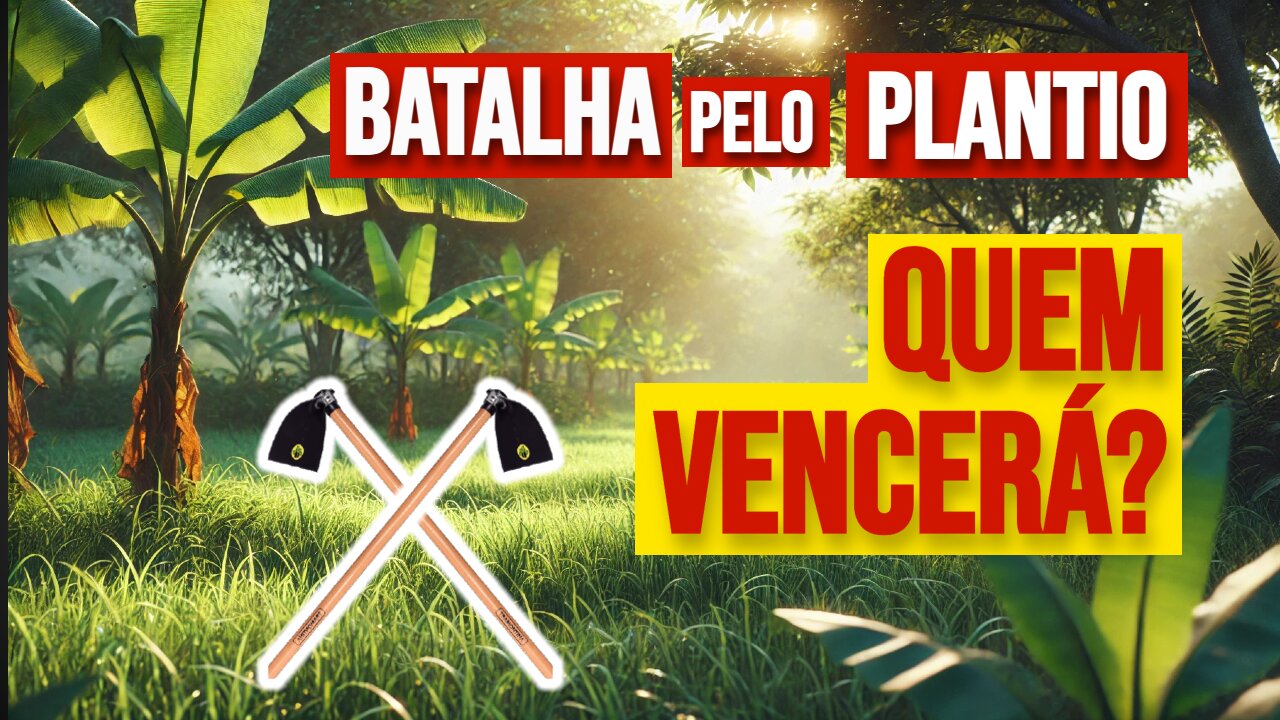 PLANTAÇÃO em RISCO! Salvando BANANEIRAS do CAPIM!
