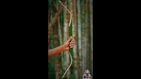 bamboo creation