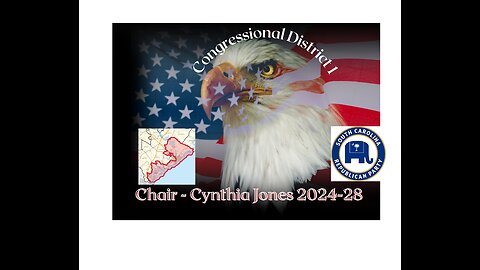 N. Mt. Pleasant Conservatives-Address by Cynthia Jones, CD1 Chair