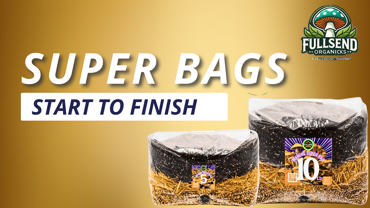 Ten Pound super bags - Start to finish no experience needed!