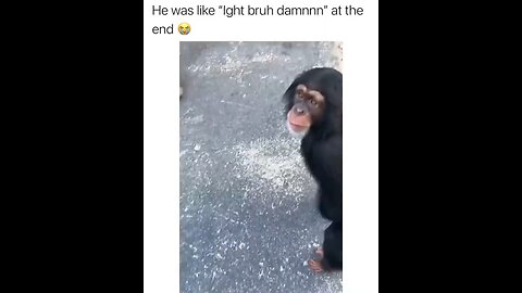 Monkey had enough to drink