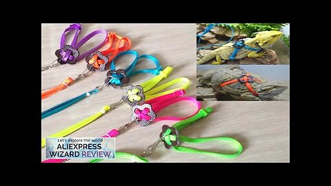 Clearance Reptile Lizard Harness Leash Adjustable Walking Hauling Cable Belt Traction Rope Review