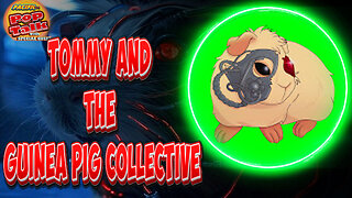 Pacific414 Pop Talk with Special Guest Tommy and The Guinea Pig Collective