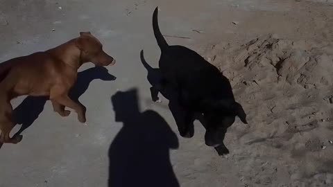 Primera sereneada del año en COVISOLTAC - Tacuarembó (05/01/2025)