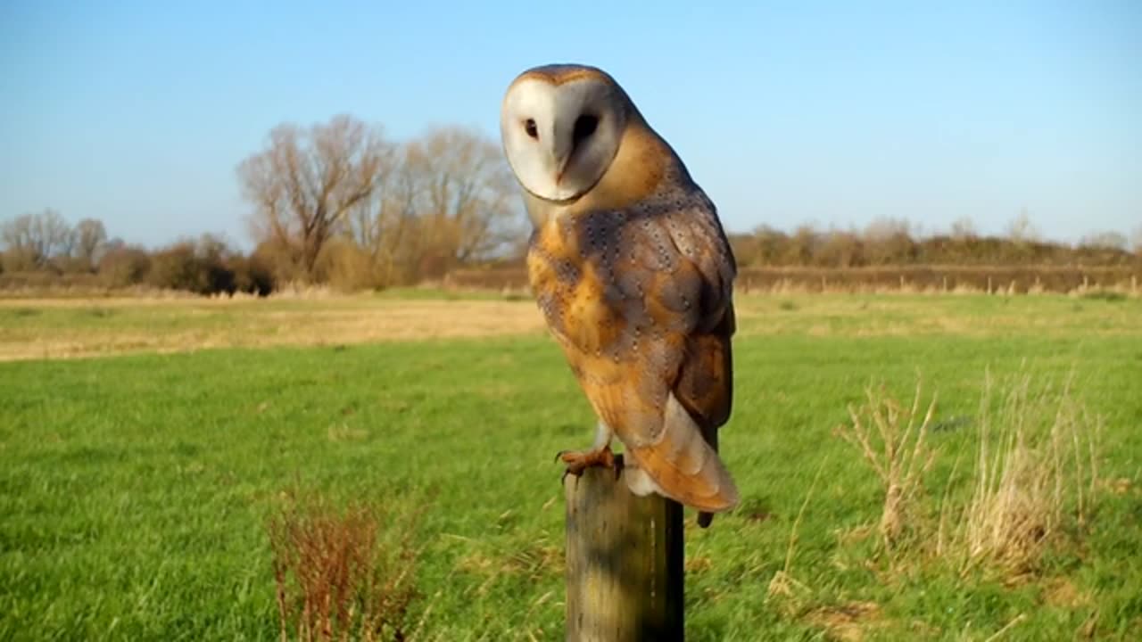 A PERSON GOD CAN USE - DAILY DEVOTIONAL ❤️