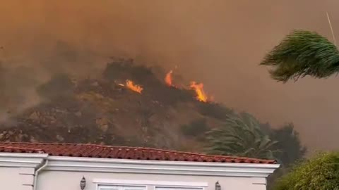 CRAZY footage taken of the Pacific Palisades Fire