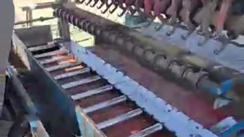 The Shocking Truth About Nail Production!