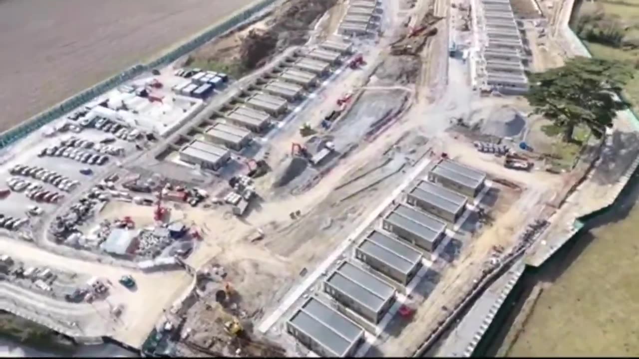 The Clonmel refugee/migrant plantation in County Tipperary is almost complete