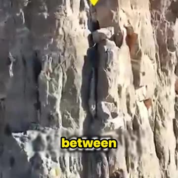 Drone Captures a Creature That Shouldn’t Exist!