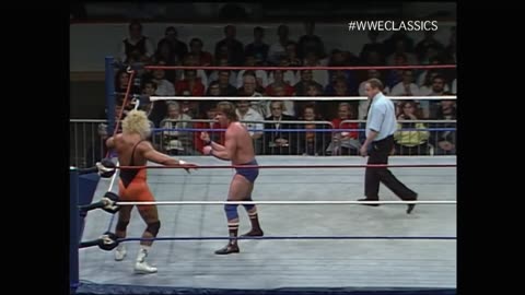 Roddy Piper vs Mr perfect