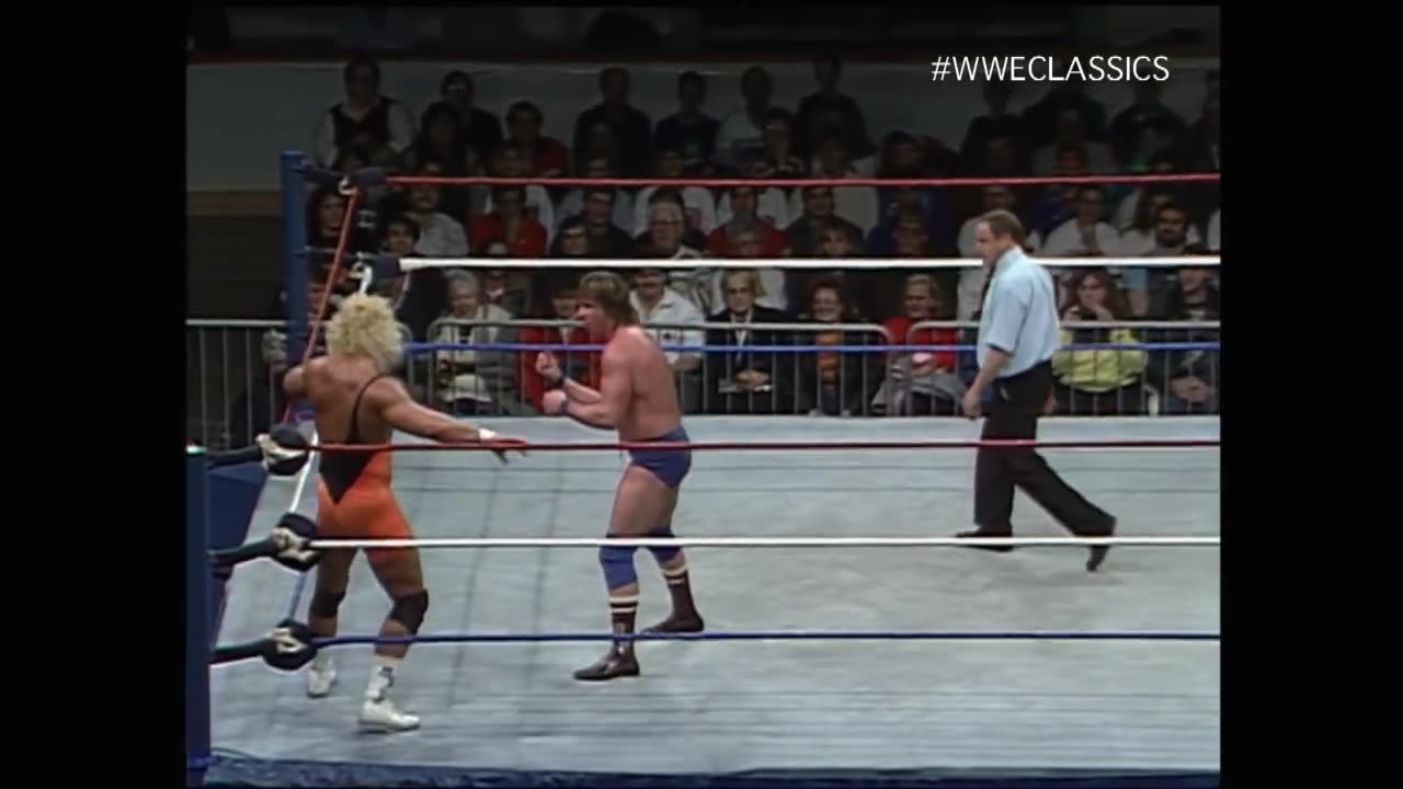 Roddy Piper vs Mr perfect