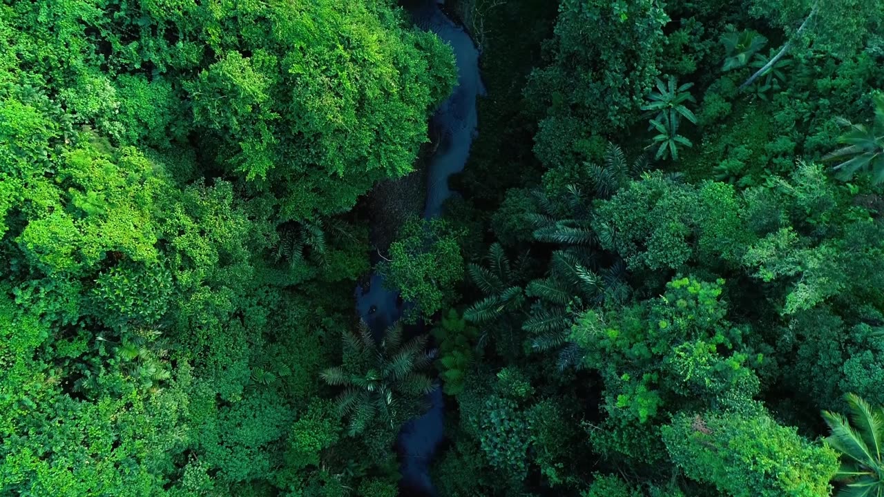 A very relaxing song with relaxing visuals