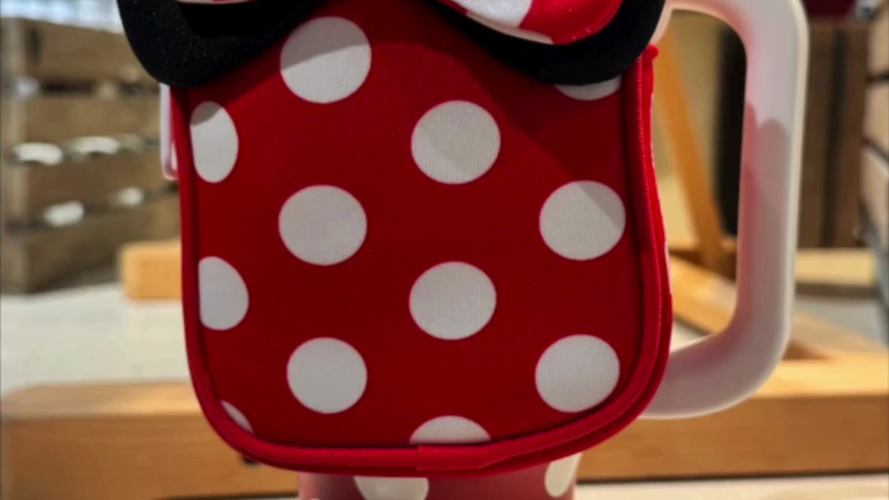 Walt Disney World Minnie Mouse Sipper Cup with Straw and Zippered Pouch #shorts